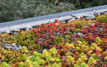 the cost of Ready Token green roof installation