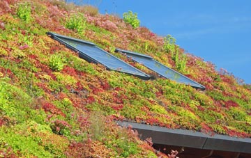 Ready Token living roof systems